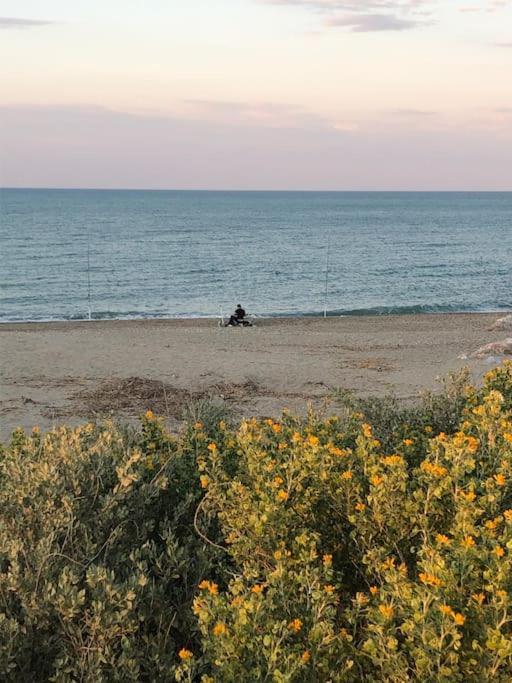 Logement Plage Saint-Cyprien  Buitenkant foto
