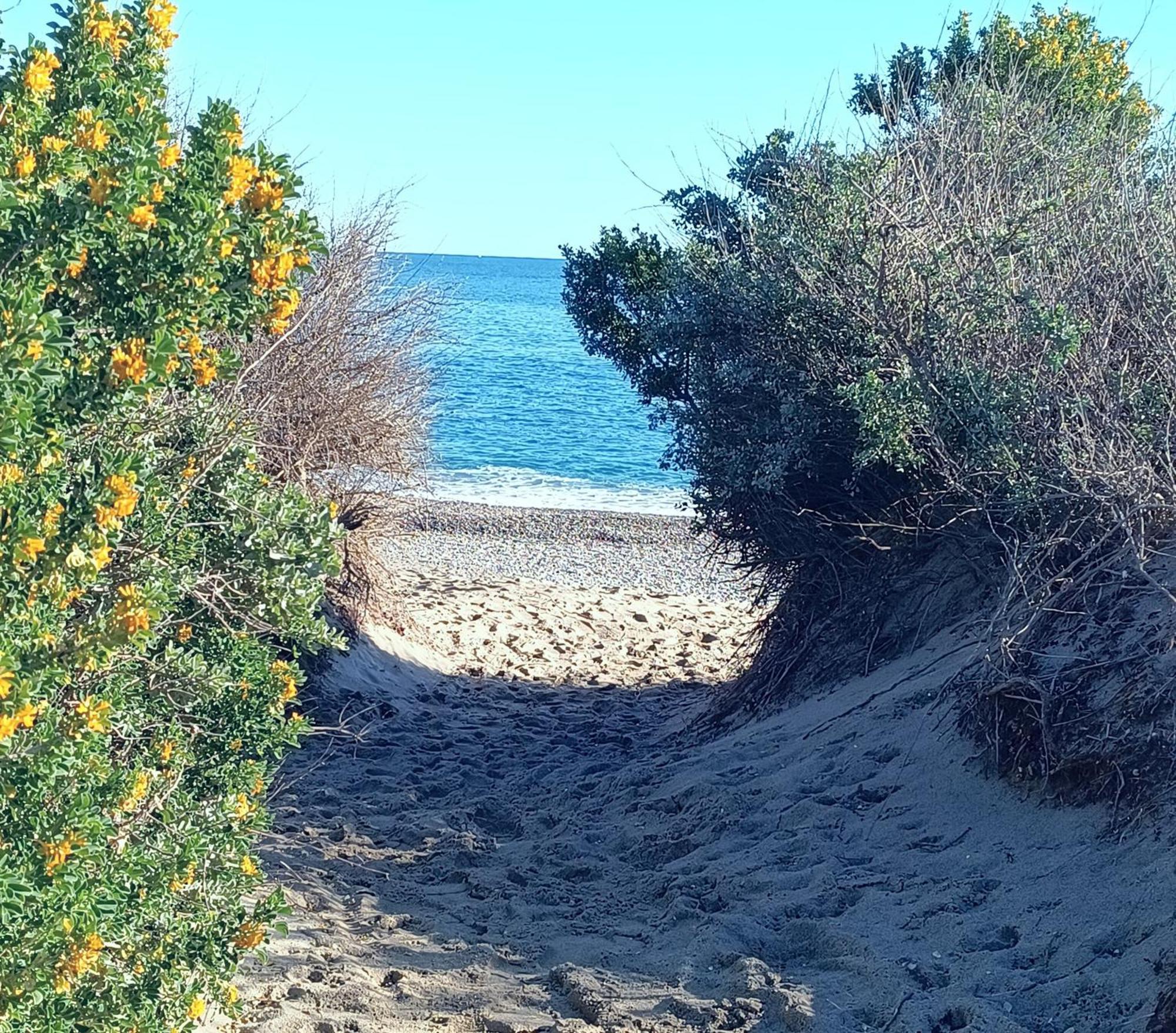 Logement Plage Saint-Cyprien  Buitenkant foto